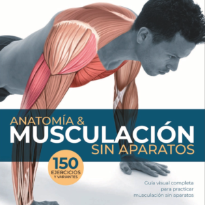 ejercicios basico de musculacion sin peso calistenia visual